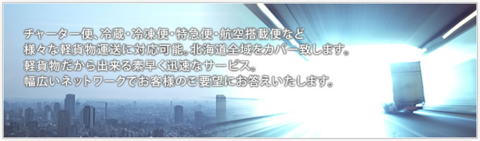 チャーター便、冷蔵、冷凍便・特急便・航空搭便など十勝帯広・幕別などを中心に様々な軽貨物運送に対応可能。北海道全域をカバー致します。軽貨物だから出来るすばやく迅速なサービス。幅広いネットワークでお客様のご要望にお答えいたします。